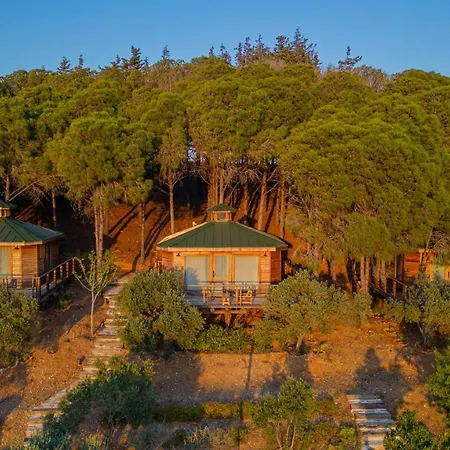 Kairos Valley Wellness & Longevity ホテル