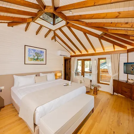 Kairos Valley Wellness & Longevity Datca