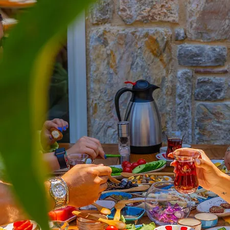 Kairos Valley Wellness & Longevity * ダッチャ