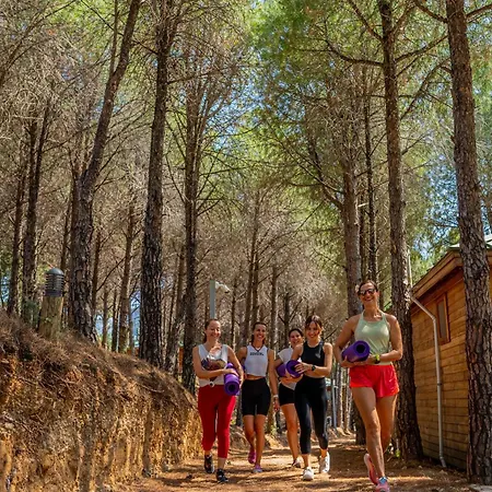 Kairos Valley Wellness & Longevity ホテル *