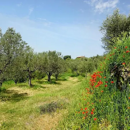 Ξενοδοχείο Kairos Valley Wellness & Longevity