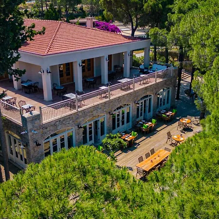 Kairos Valley Wellness & Longevity *