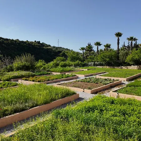 ホテル Kairos Valley Wellness & Longevity