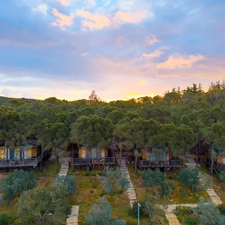 Kairos Valley Wellness & Longevity Ξενοδοχείο Datca