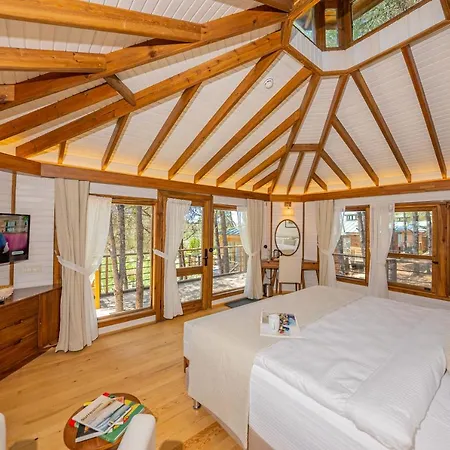 Kairos Valley Wellness & Longevity Hotel Datca