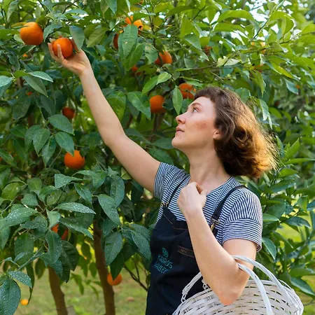 Kairos Valley Wellness & Longevity ホテル
