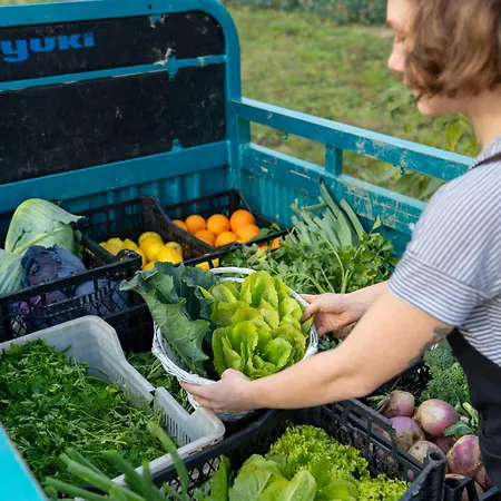 Kairos Valley Wellness & Longevity Hotel Datca