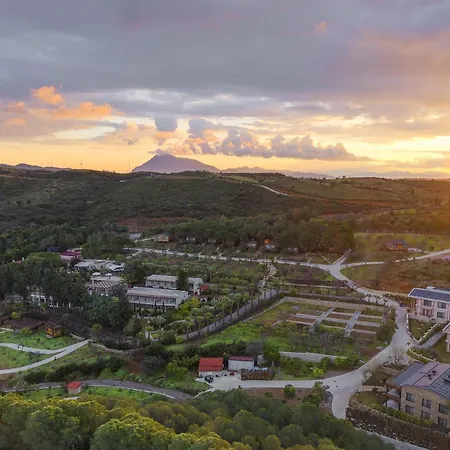 Kairos Valley Wellness & Longevity * Datca