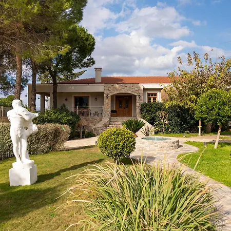 Kairos Valley Wellness & Longevity *