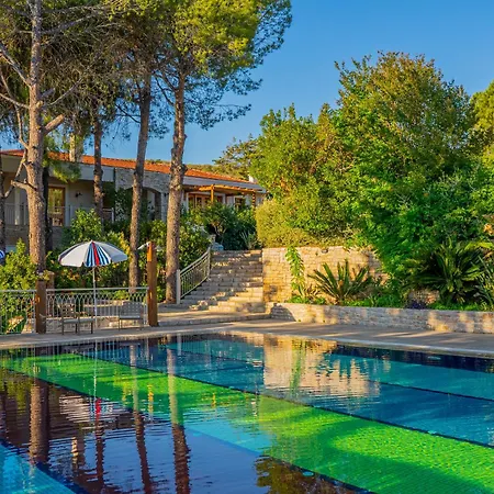 Kairos Valley Wellness & Longevity *
