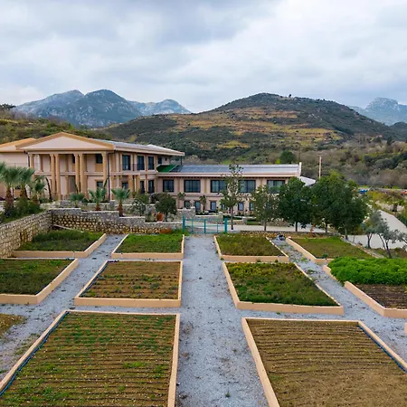 Kairos Valley Wellness & Longevity