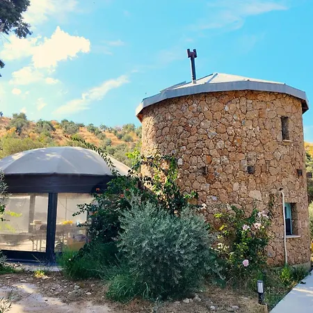 Kairos Valley Wellness & Longevity