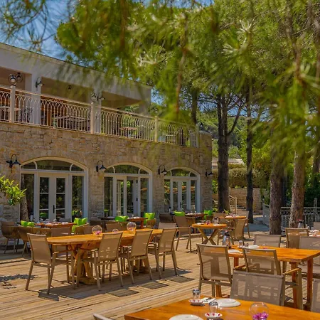Kairos Valley Wellness & Longevity