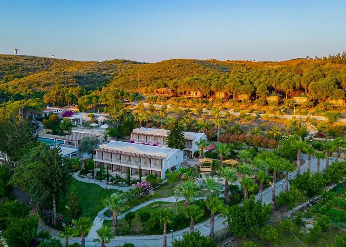 Kairos Valley Wellness & Longevity Datça