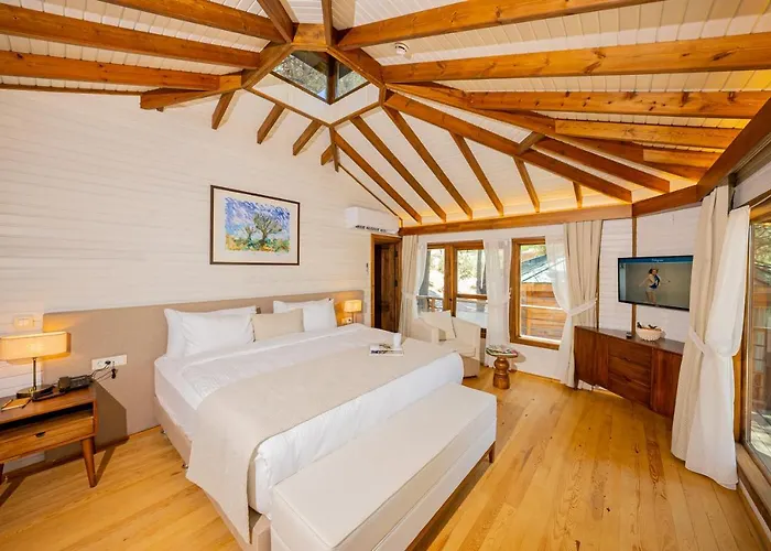 Kairos Valley Wellness & Longevity Datça