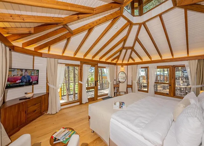 Kairos Valley Wellness & Longevity Hotel Datça