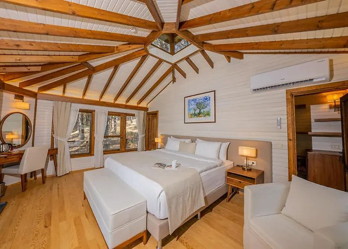 Kairos Valley Wellness & Longevity