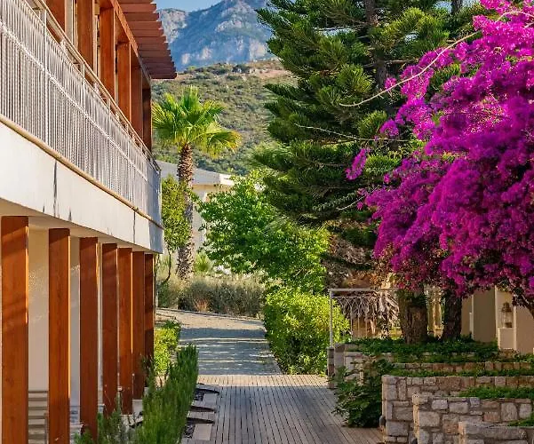 Hotel Kairos Valley Wellness & Longevity Datça