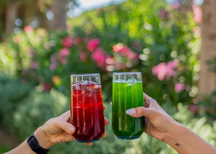 Kairos Valley Wellness & Longevity Hotel Datça