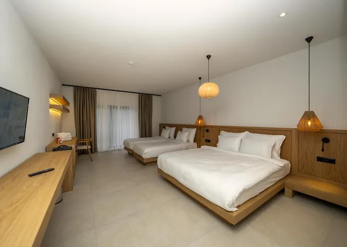 Kairos Valley Wellness & Longevity *