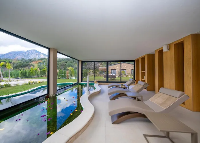 Kairos Valley Wellness & Longevity * Datça
