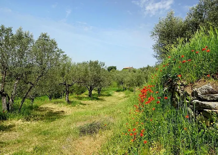 Hotel Kairos Valley Wellness & Longevity