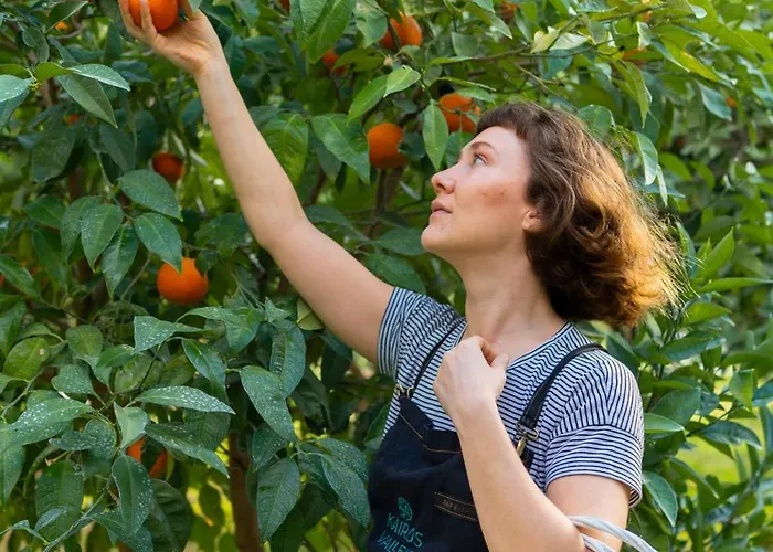 Kairos Valley Wellness & Longevity Hotel