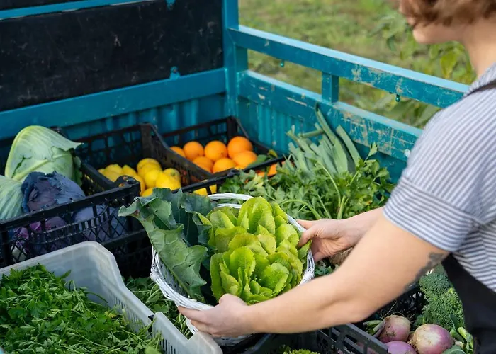 Kairos Valley Wellness & Longevity Hotel Datça