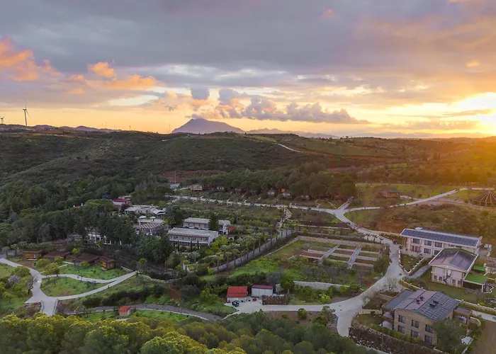 Kairos Valley Wellness & Longevity * Datça