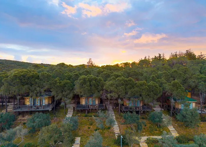 Kairos Valley Wellness & Longevity Hotel Datça